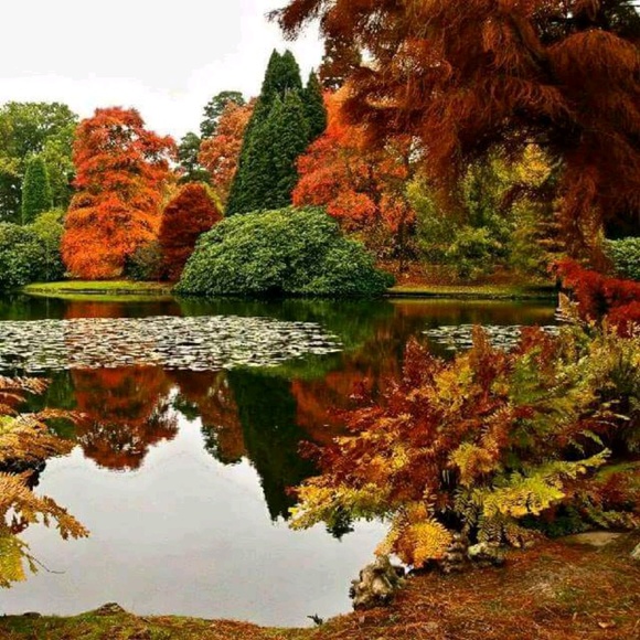 Meet your Posher, Clinton - Picture 1 of 1